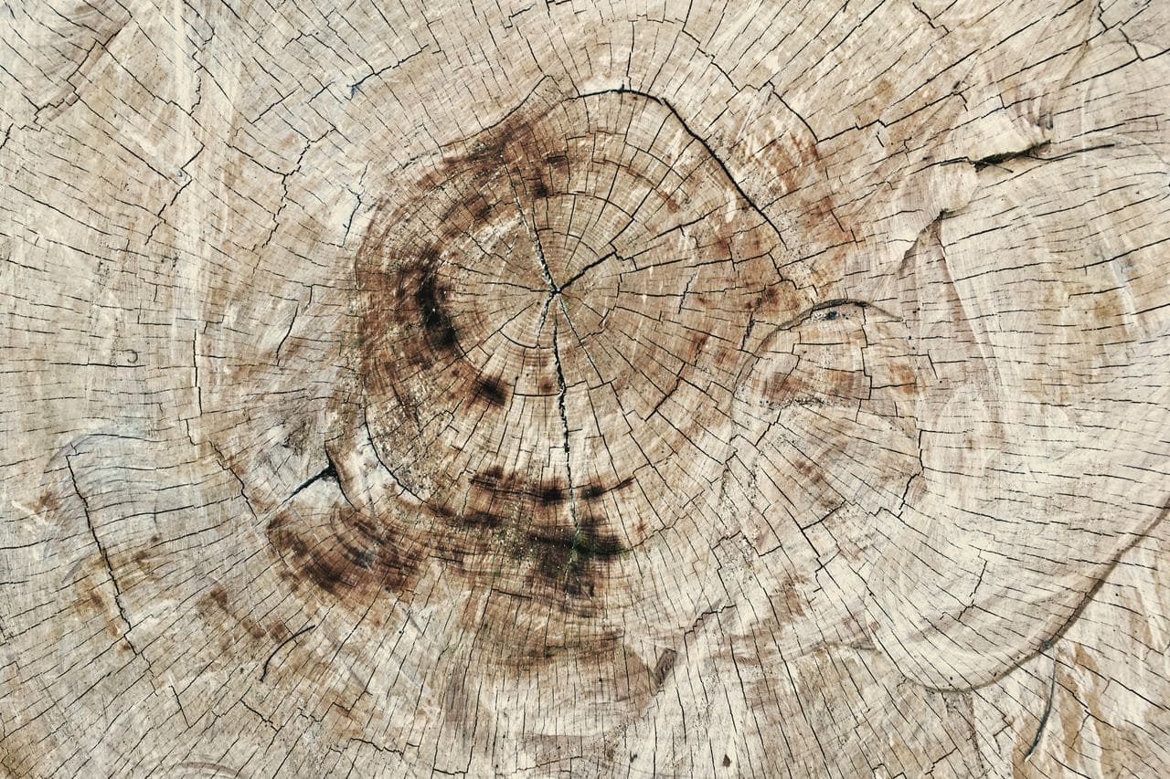 textura madera