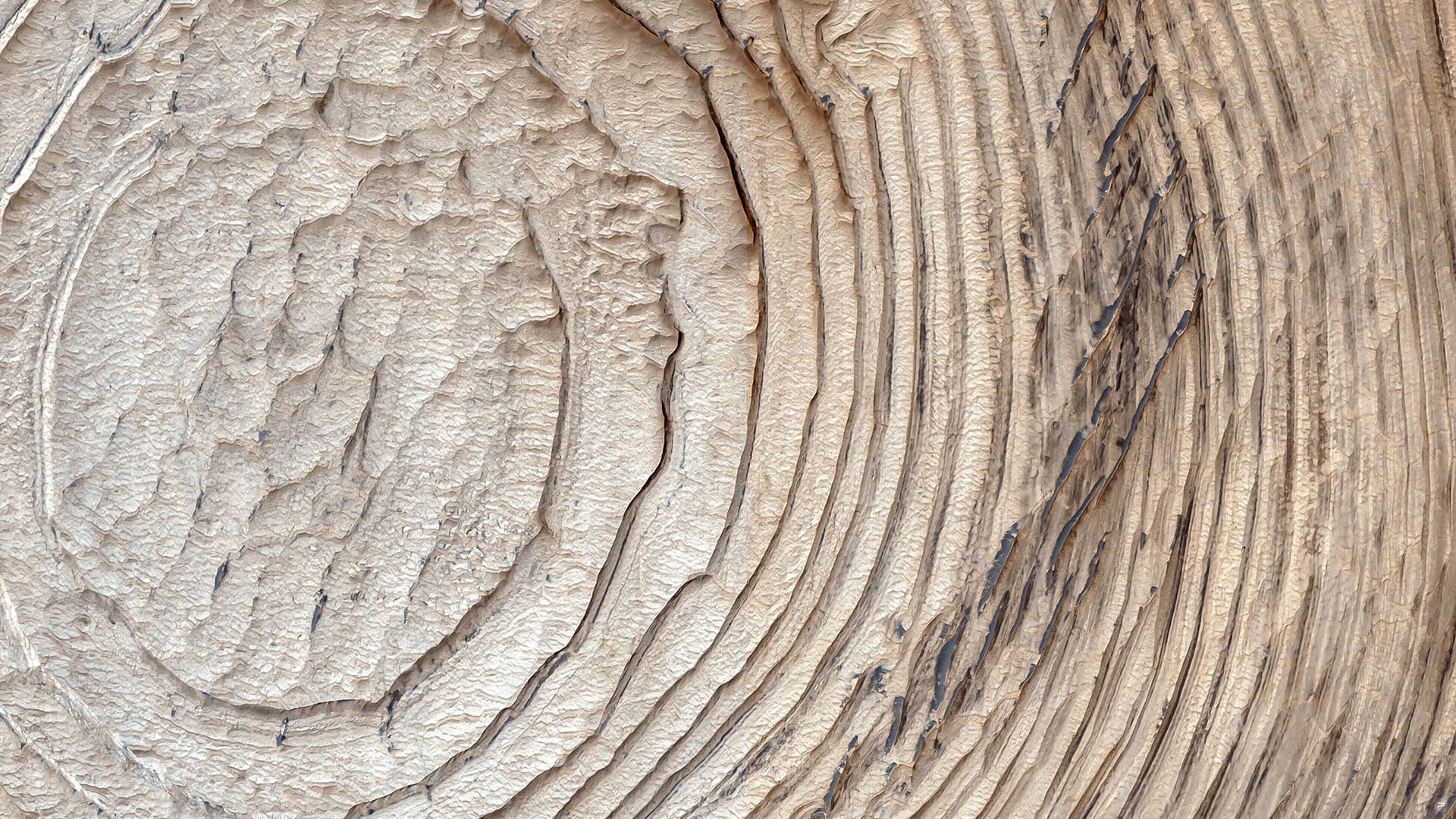 textura madera(3)